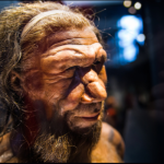 Homme de Néandertal